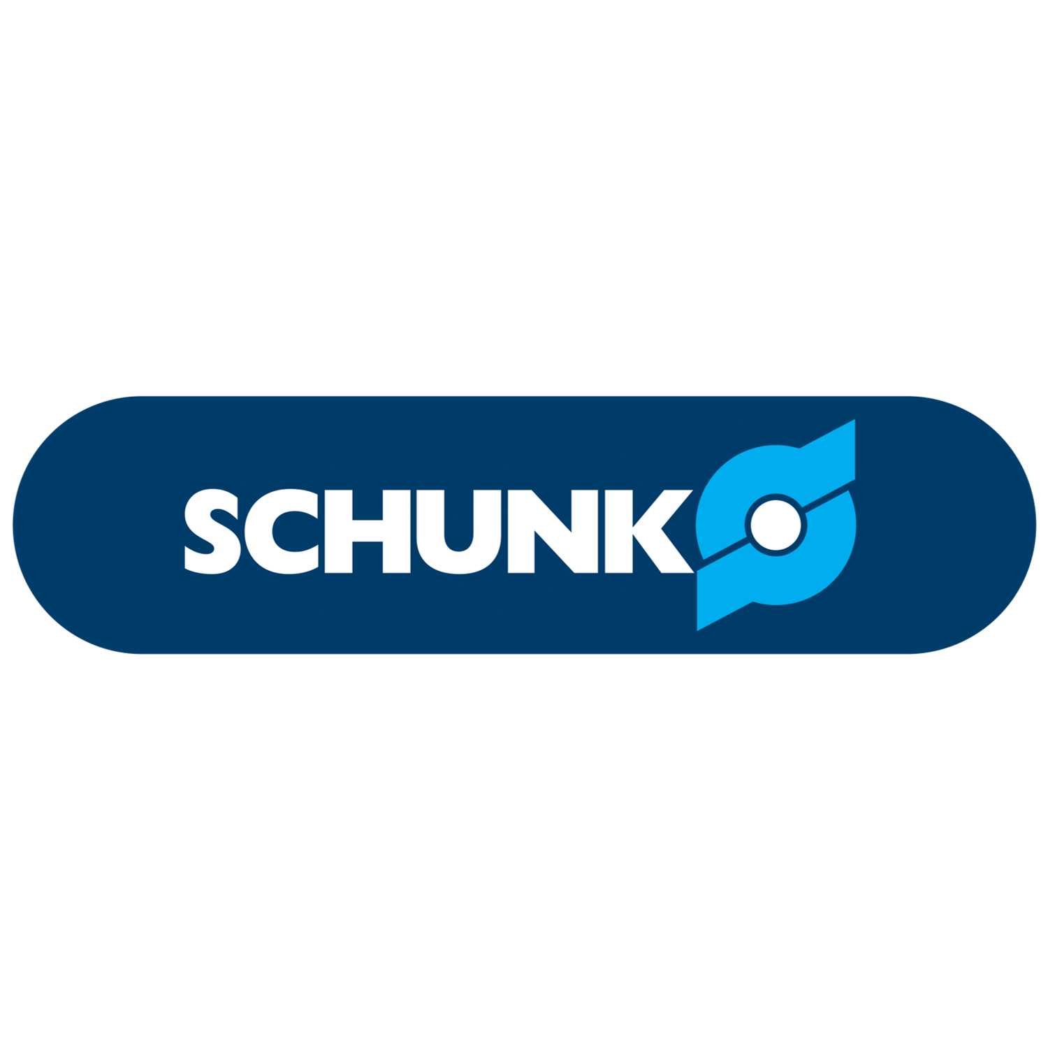 7. Logo Schunk_