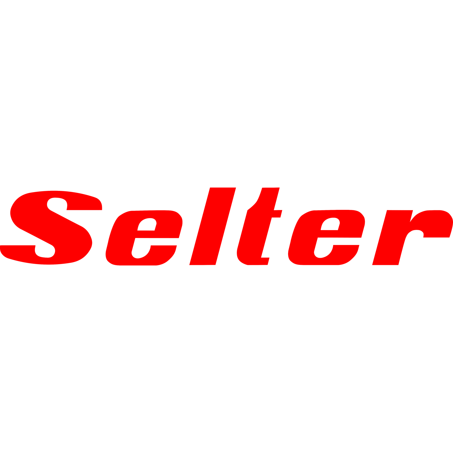 15. Logo Selter